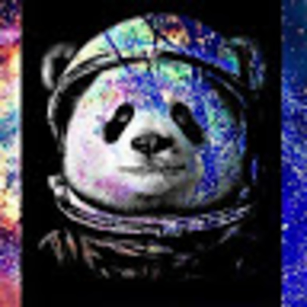 Meet your Posher, Evan